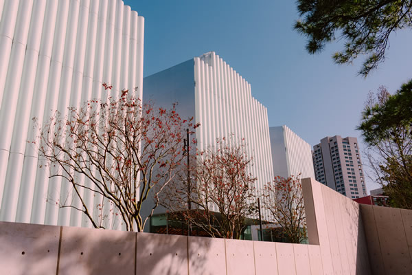Bologna Airport to Cadelbosco di Sopra Taxi Rides