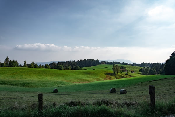 Verona Airport to Mezzana Taxi Rides