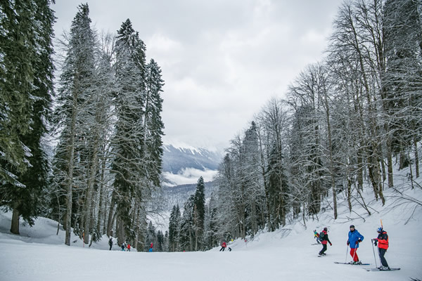 Ehrwald Ski Transfers