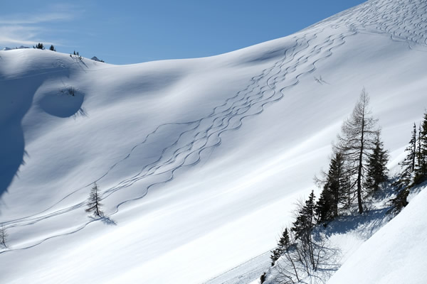 Montchavin Ski Transfers