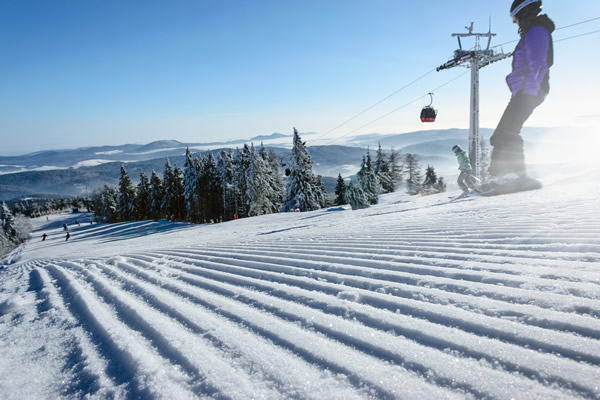 Plagne 1800 Ski Transfers