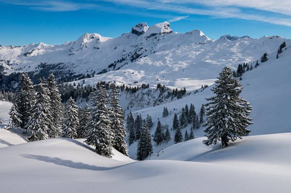 Ramsau im Zillertal Ski Transfers